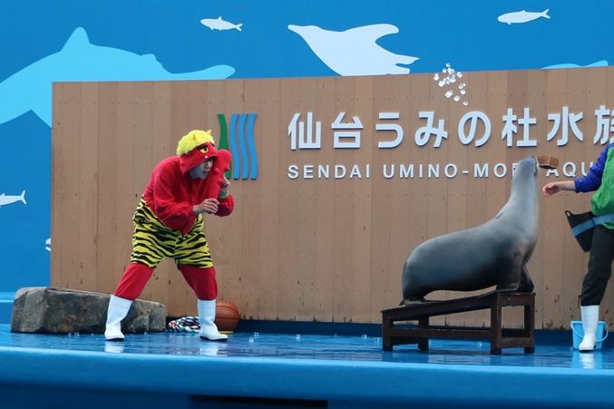 仙台うみの杜水族館アシカの豆まき・イルカの鬼バルーン